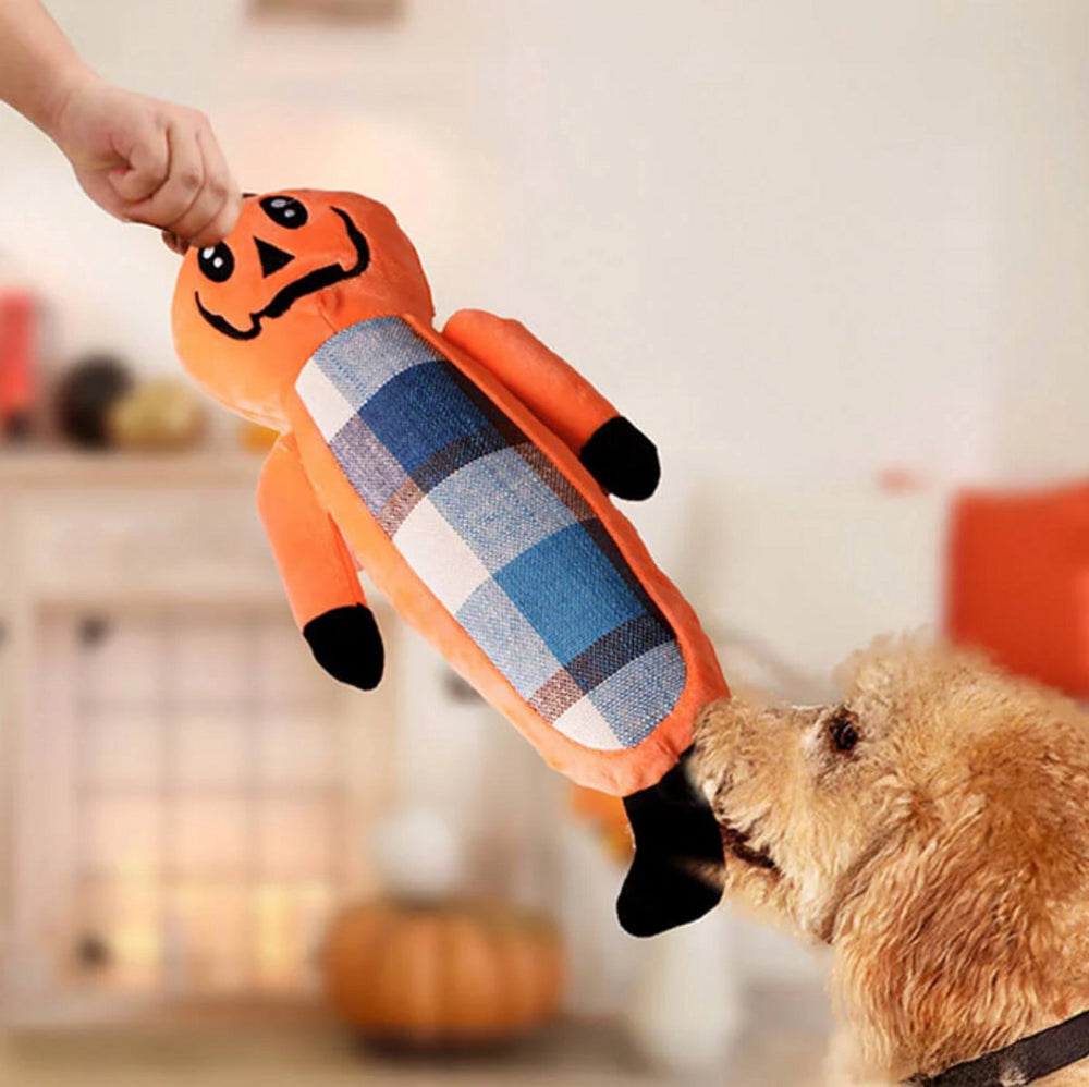 Hondenspeelgoed – Halloween Pompoen Set