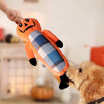 Hondenspeelgoed – Halloween Pompoen Set